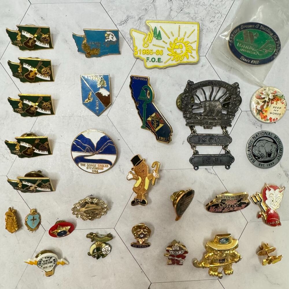 Lot Of 28 Vintage Pins Service Awards Unions Clubs Military School Fraternal